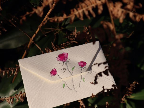 Enchanting Pink Roses -Set of 3