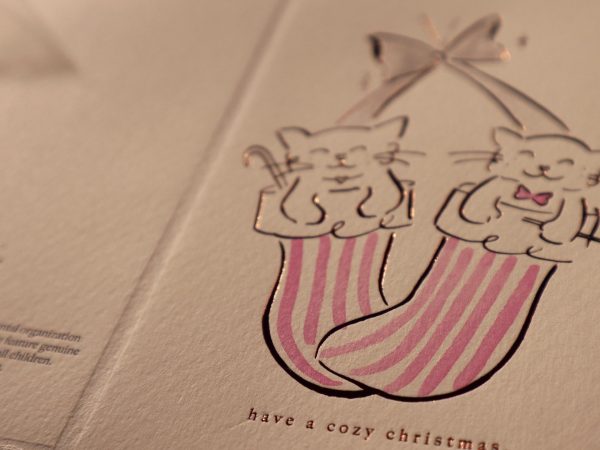 Chocolate Kittens Pink Stripe