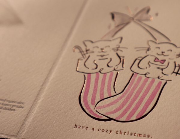 Chocolate Kittens Pink Stripe - Image 2