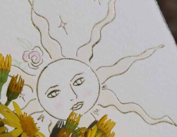 Le Soleil Pink Rose - Image 2