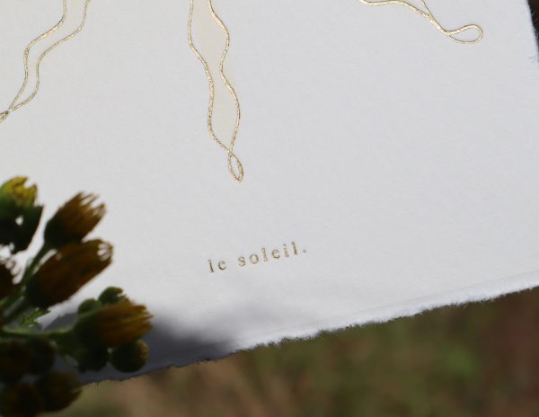 Le Soleil Pink Rose - Image 3